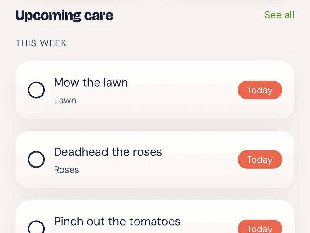 App detail: this week's care tasks with a “Today” marker